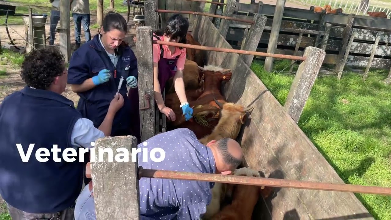 Video 02