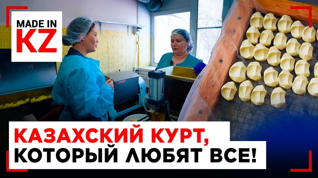 Курт на миллион: как продукт стал бизнесом и получил золотую медаль | Made in KZ