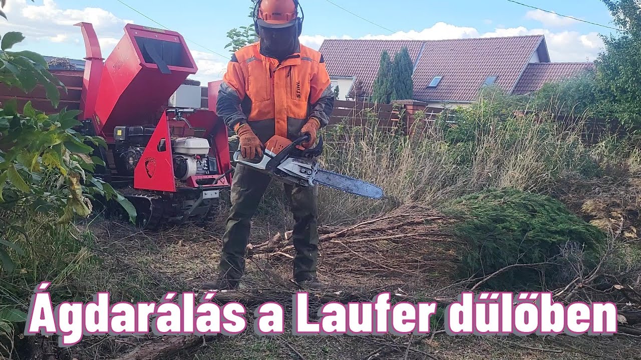 Leylandi kivágás, ágdarálás, tuskómarás, Pécs, Laufer dűlőben