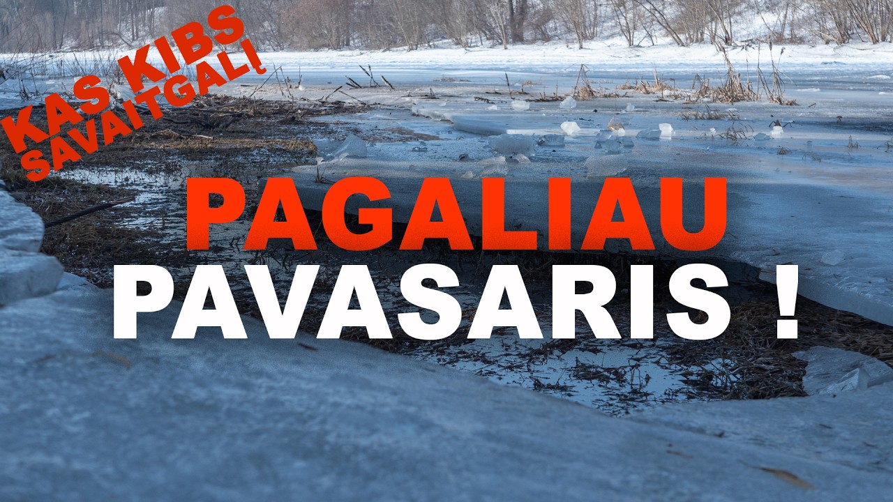 Geriausias savaitgalis šią žiemą, 200 seliavų ne riba. Kas kibs savaitgalį