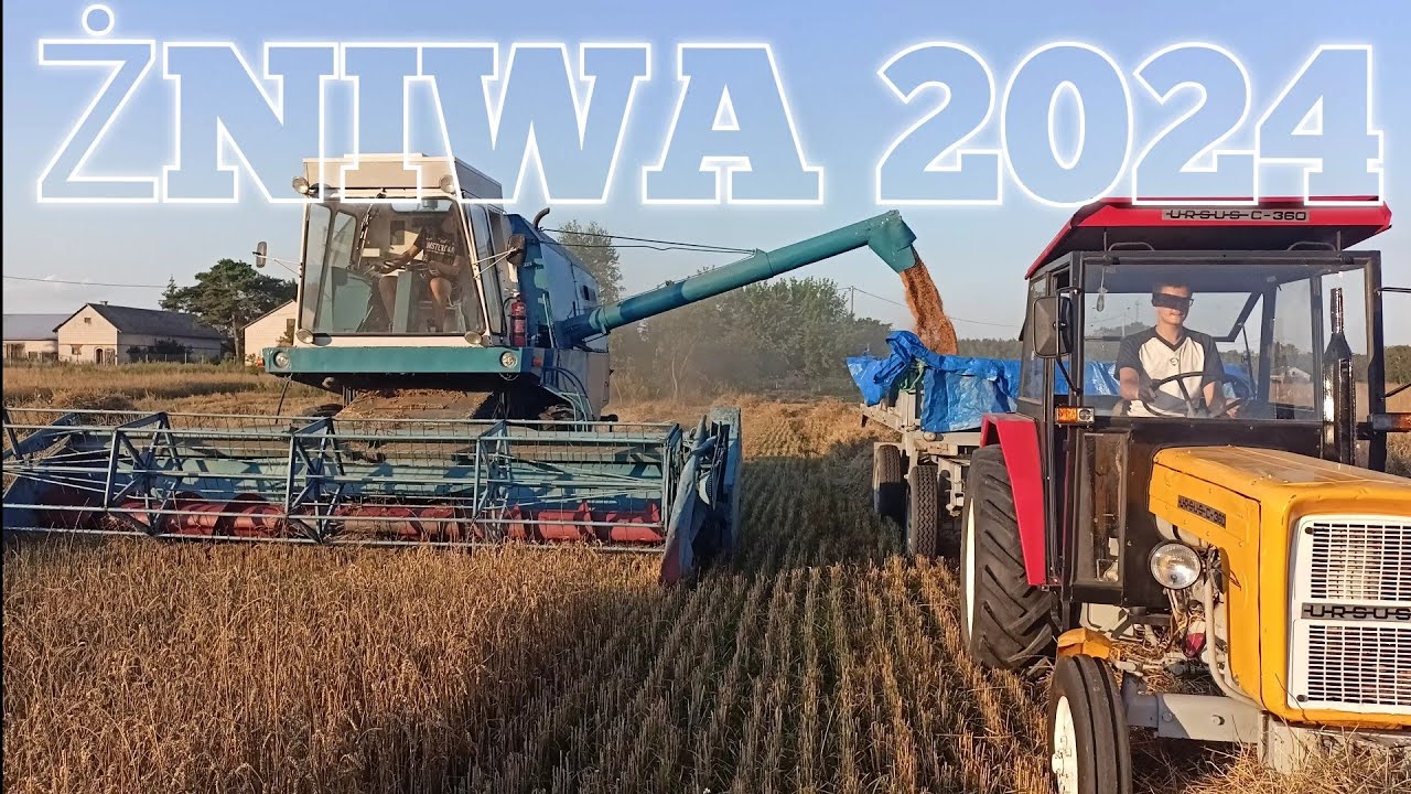 ŻNIWAAAA 2024 URSUS c-360 i kombajn FORTSCHRITT E-512 w akcji
