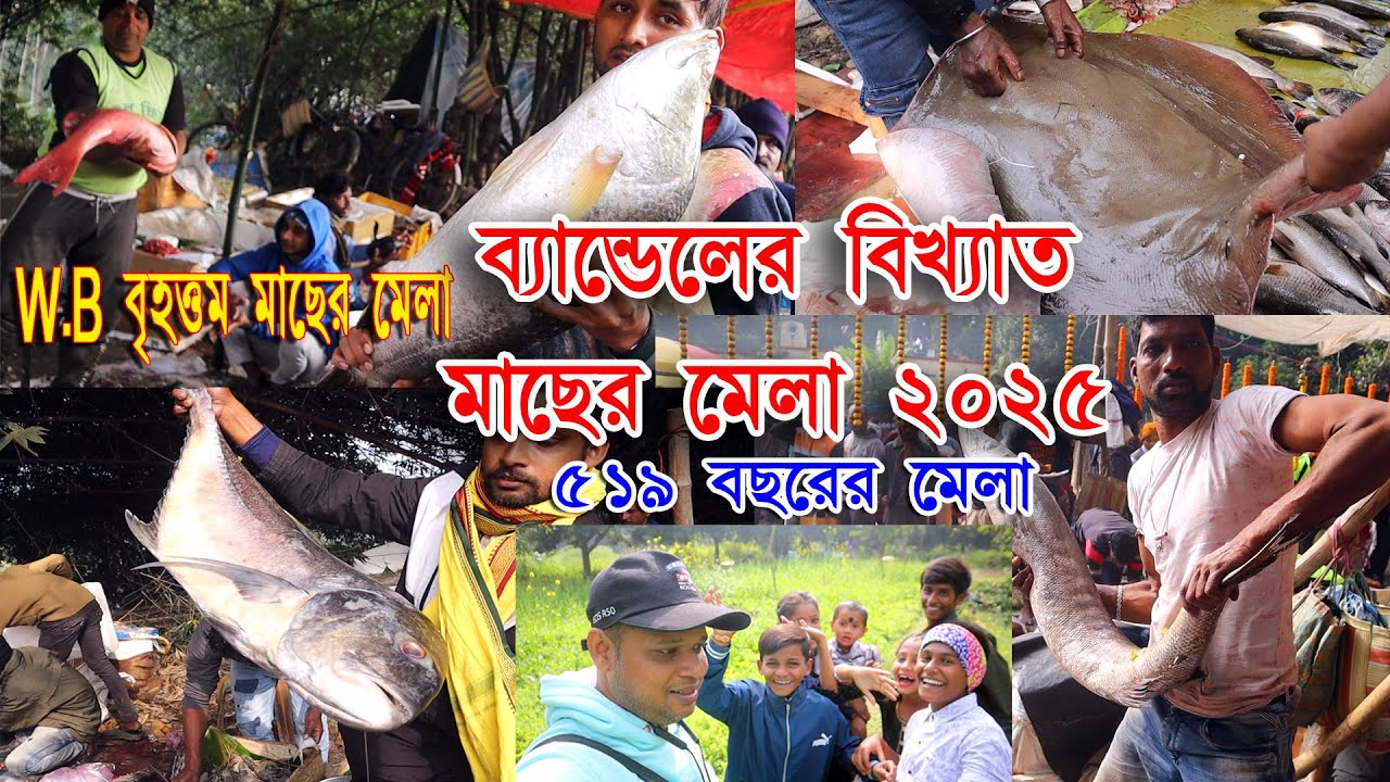 Biggest fish Mela in west Bengal | কেষ্টপুর মাছের মেলা 2025||  Bandel Macher Mela |519 বছরের মেলা