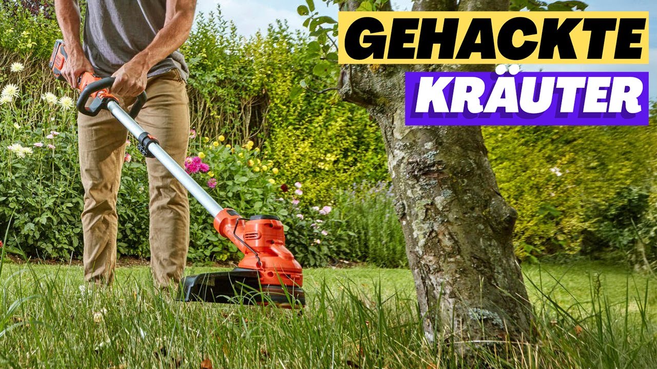 Dieser Trimmer ist perfekt und leistungsstark: BLACK+DECKER BCSTA536L1-QW | Hinweis 2025