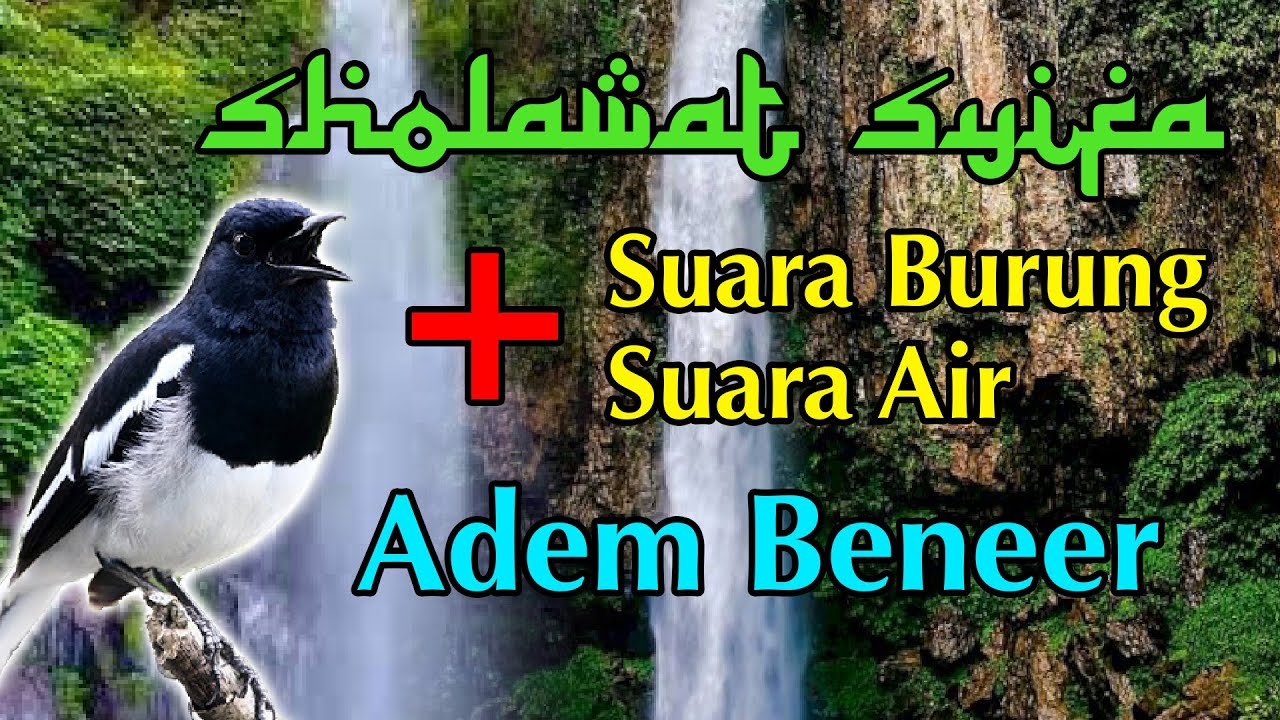 Sholawat Syifa Plus suara burung dan suara air bikin tenang hati