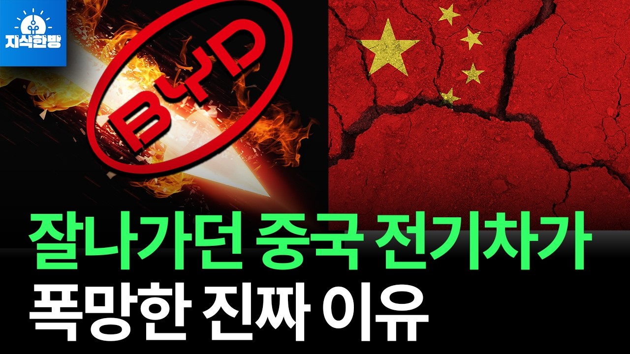 중국 전기차 출혈경쟁이 세계 대공황과 닮은 이유 (박종훈의 지식한방)