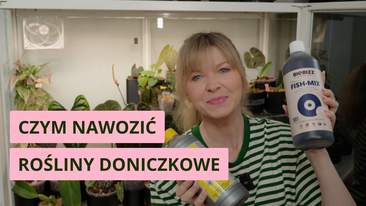 Nawożenie roślin doniczkowych: nawozy i dodatki 2025