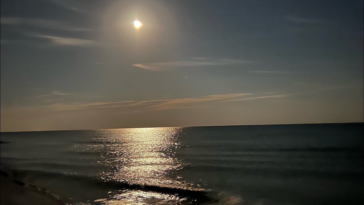Video 9 - Burning Beach Bum @ Living on Fire: Erythromelalgia & Anhidrosis