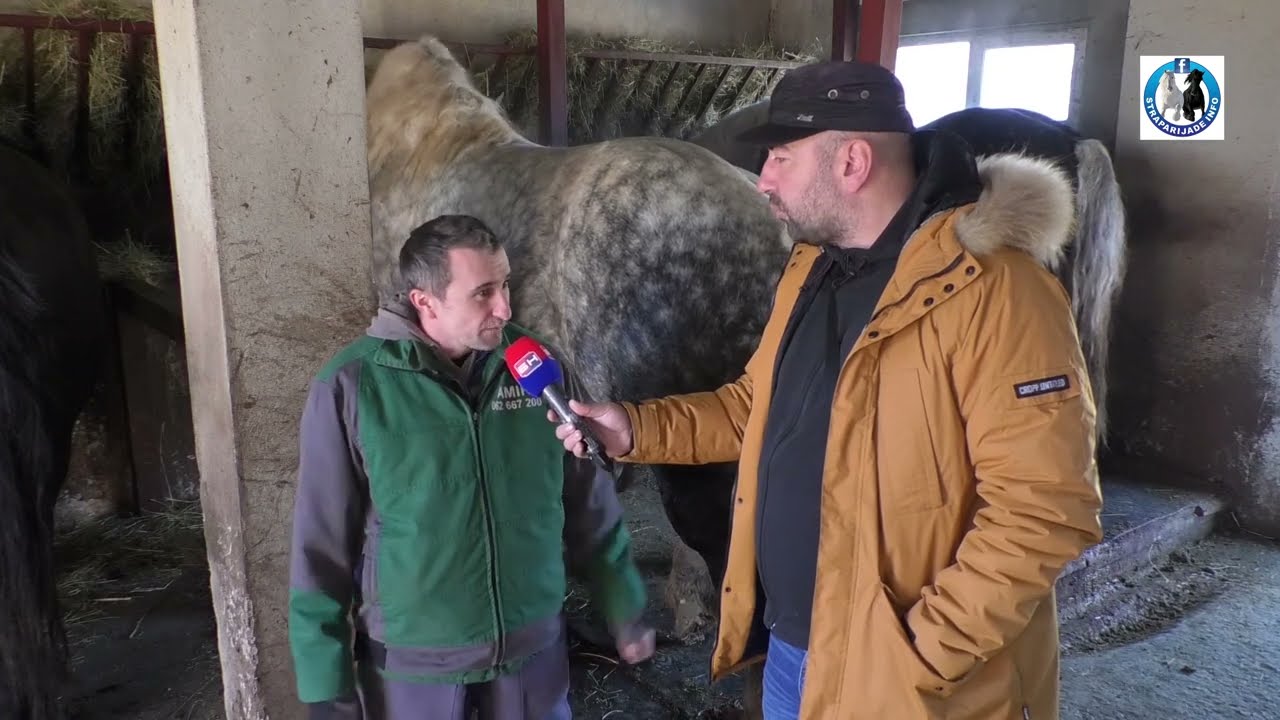 -Izet Babić iz Cazina dostavio zob Adnanu Mediću u Sanici -
