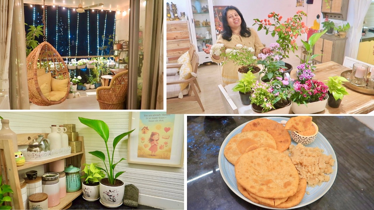 Balcony Decor 🔴 Huge Plant Shopping Haul For Balcony Garden Decor For Winter , Aloo Puri