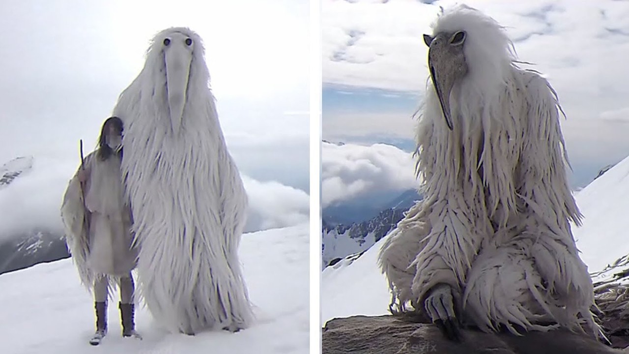 Strange Creatures Witnessed in the Arctic That Defy Explanation