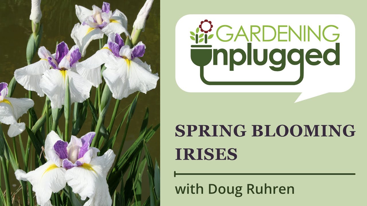 Gardening Unplugged - Spring Blooming Plants with Doug Ruhren (Part 2 - Irises and Kalmia)