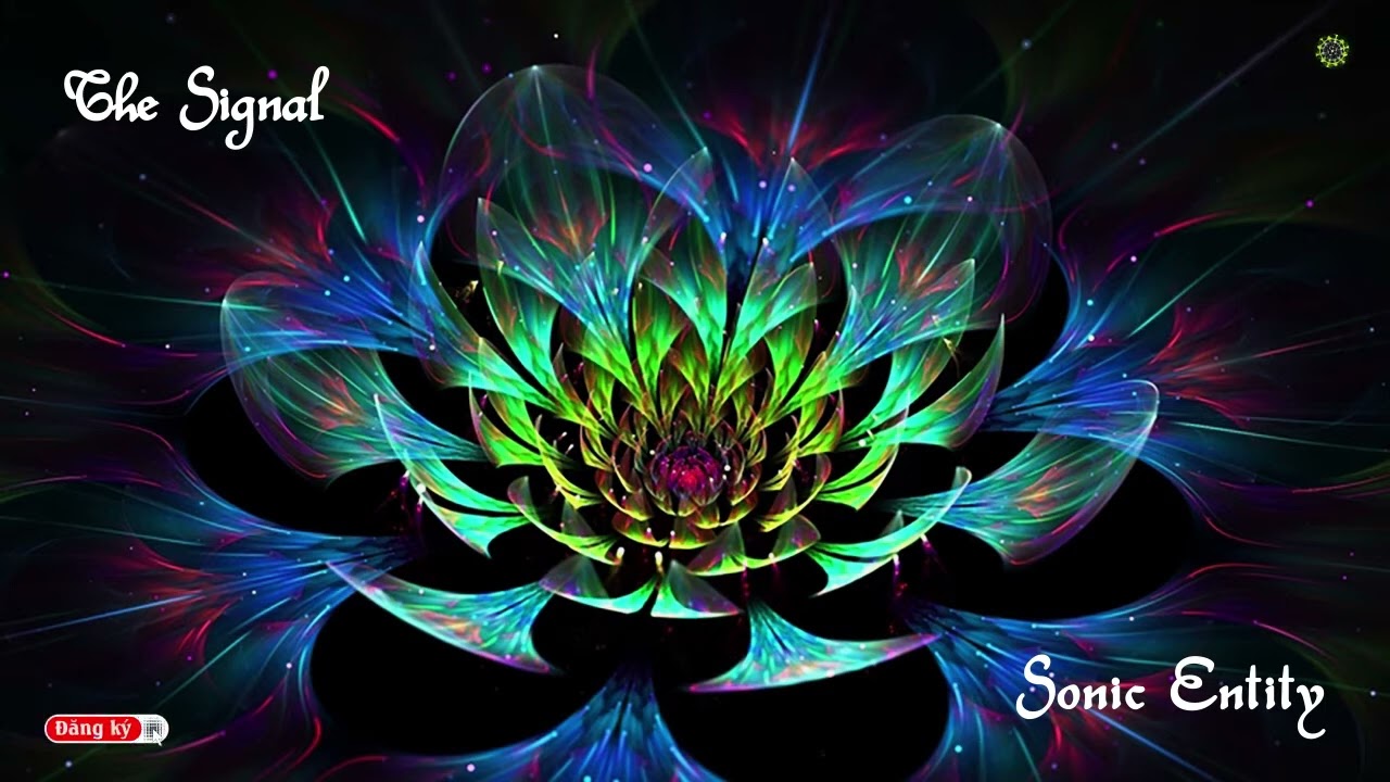 Nhạc test loa cực mạnh  The Signal   Sonic Entity    YouTube