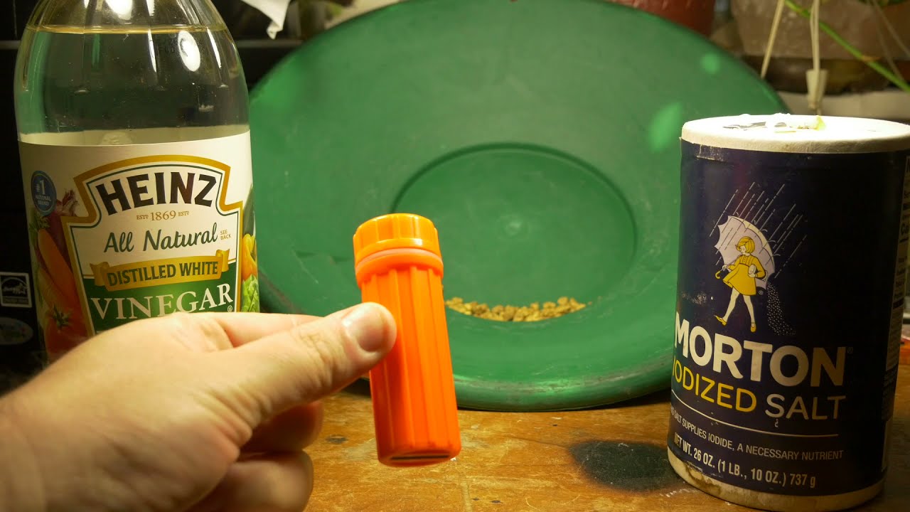 Cleaning Gold Nuggets - Simple Method to Clean Up Placer Gold
