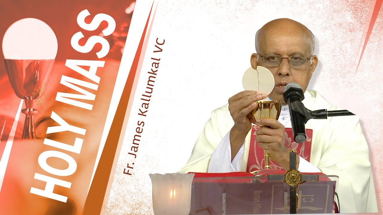 Holy Mass Live Today | Fr. James Kallumkal VC |11 Feb| Divine Retreat Centre Goodness TV