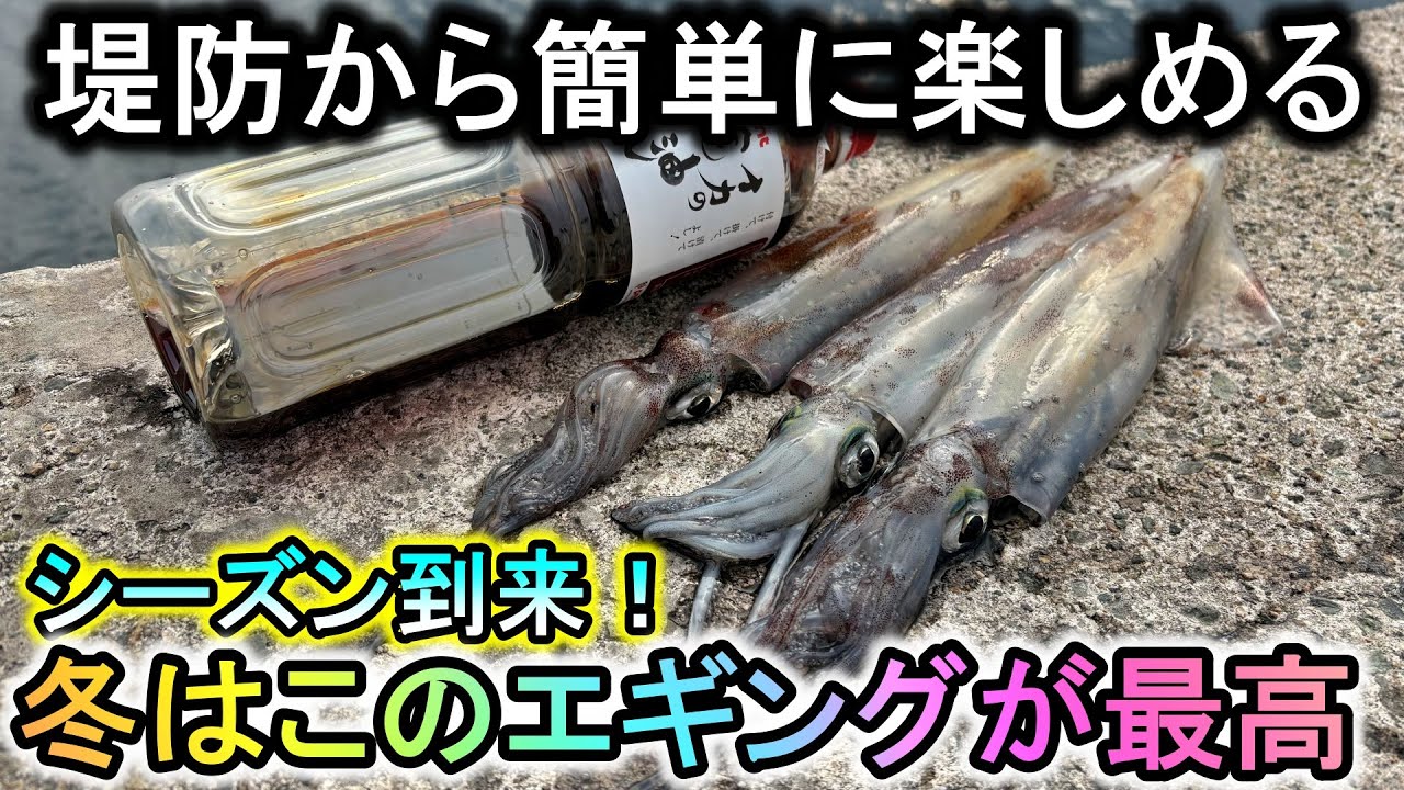 冬の堤防は誰でも簡単にイカが釣れる…実はエギングに最高の時期という事を知ってほしい