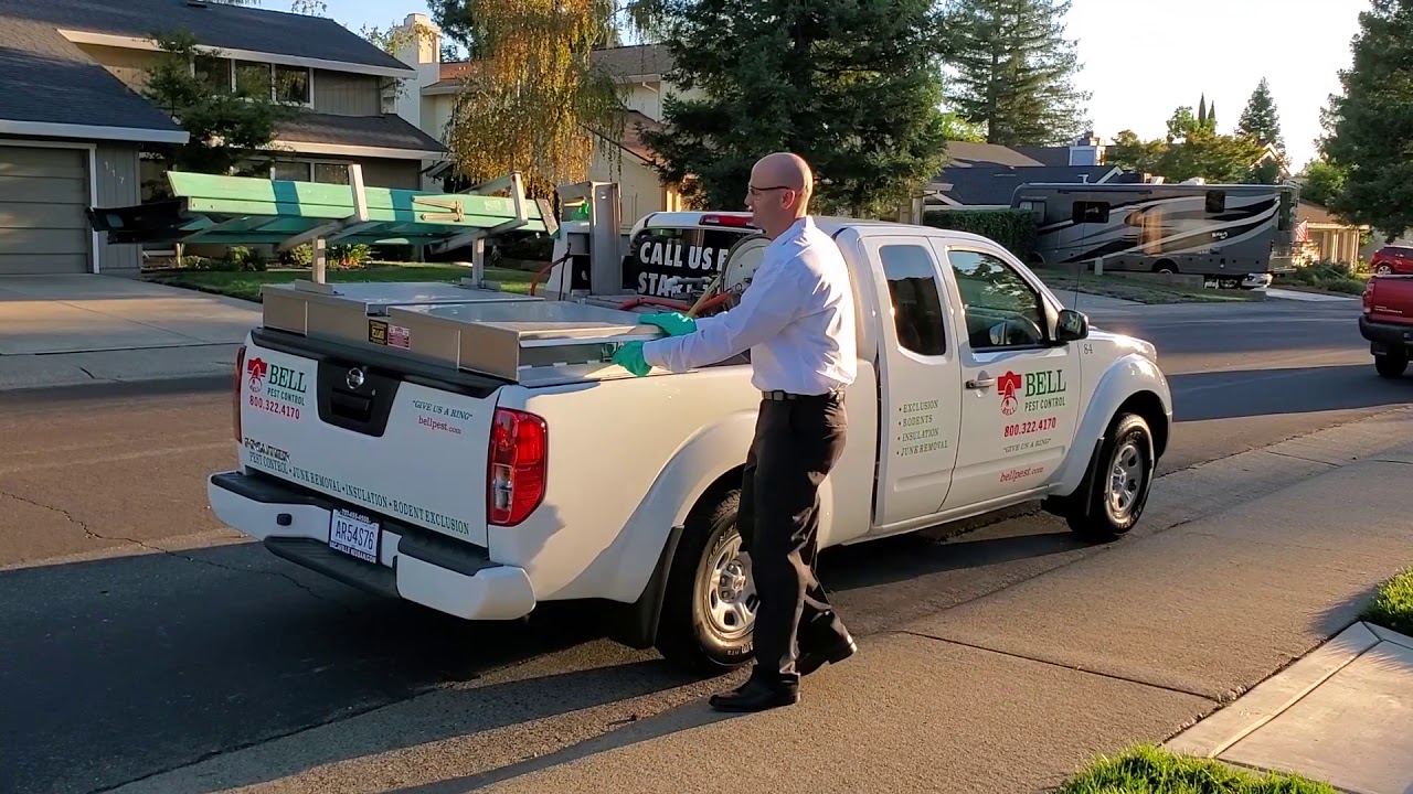 Bell Pest Free Start Up Commercial