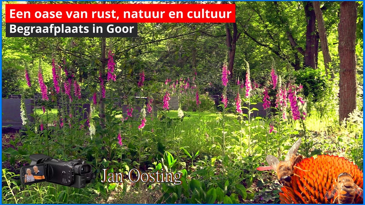 Begraafplaats Goor, veel natuur, rust en cultuur.