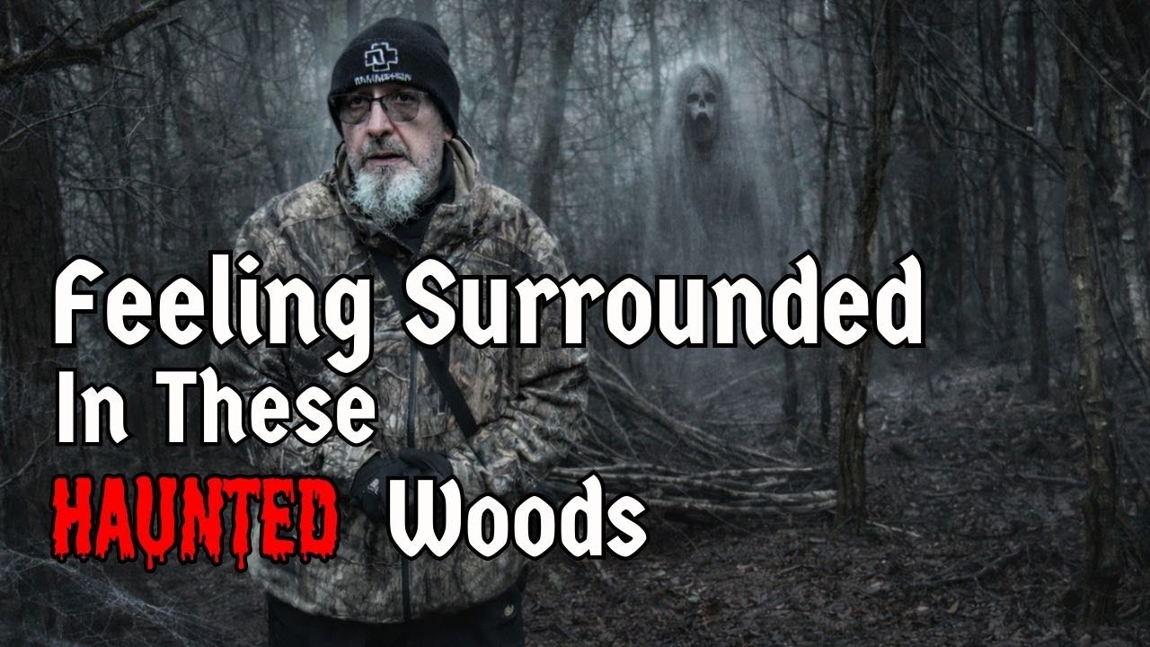 Haunted Woods In The Castle Ring - Cannock Chase