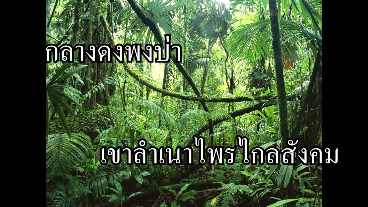 ชาวดง - ดิอิมพอสซิเบิ้ล (เนื้อเพลง)