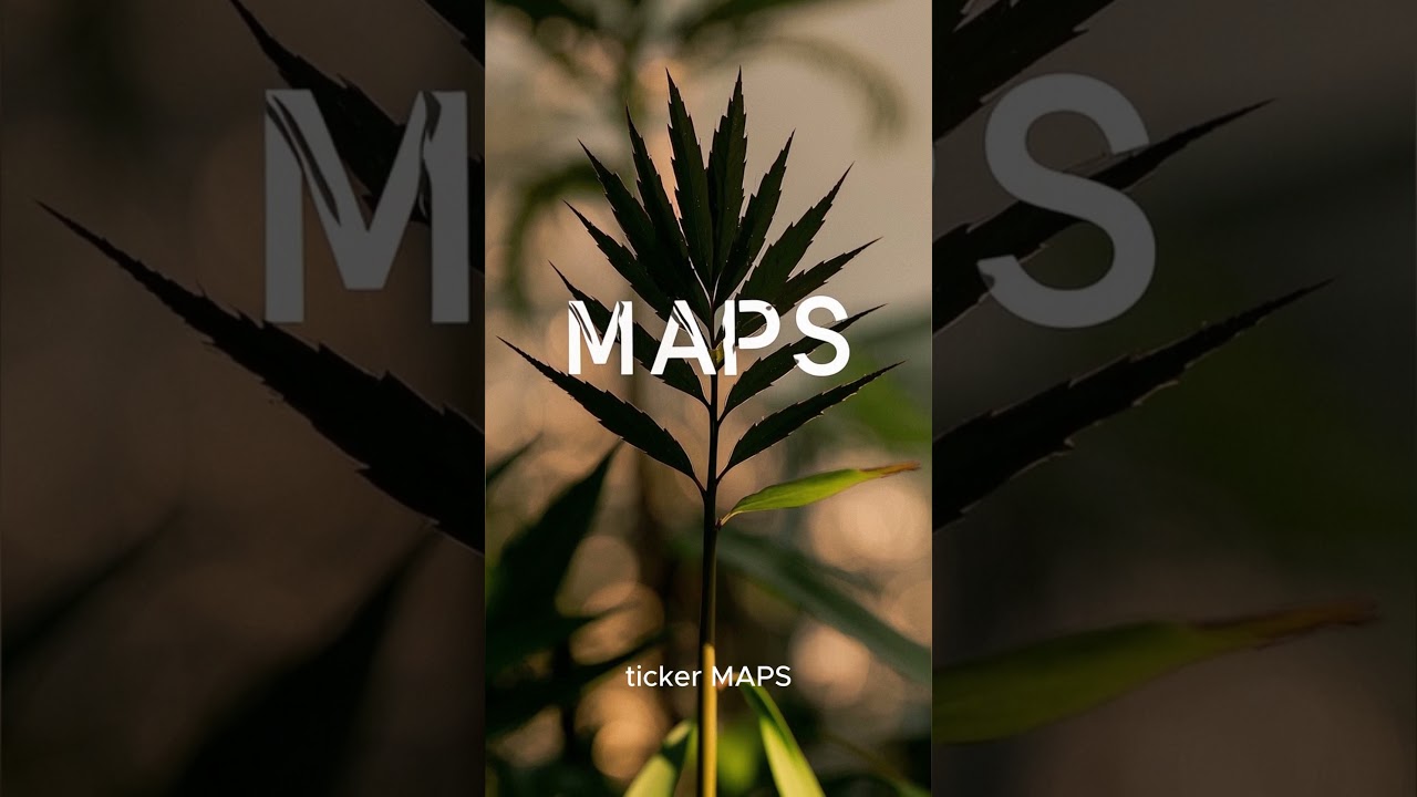 🌿 Can a Leaner Weedmaps ($MAPS) Find a Path to Profit in a Tough Market?