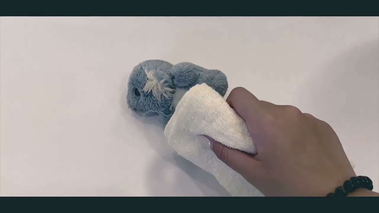 翡翠森林-台中園區 最暖心的寵物殯葬禮儀團隊 #寵物殯葬 #寵物火化 #寵物樹葬 #寵物骨灰