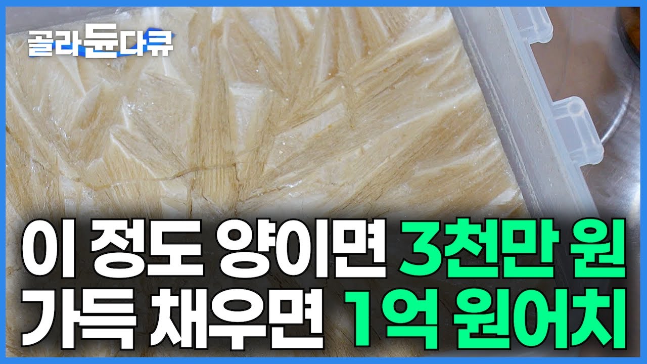 반찬통 하나 가득 채우면 1억 원어치. 극도로 소량만 추출되는 금 시세 보다 몇 배나 비싼 물질｜1g에 50만 원 하루에 9g 채취하는 양봉장｜약이 되는 맹독｜극한직업｜#골라듄다큐