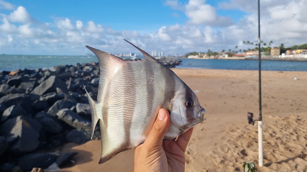 Pescaria em Olinda ( Praia Urbana )