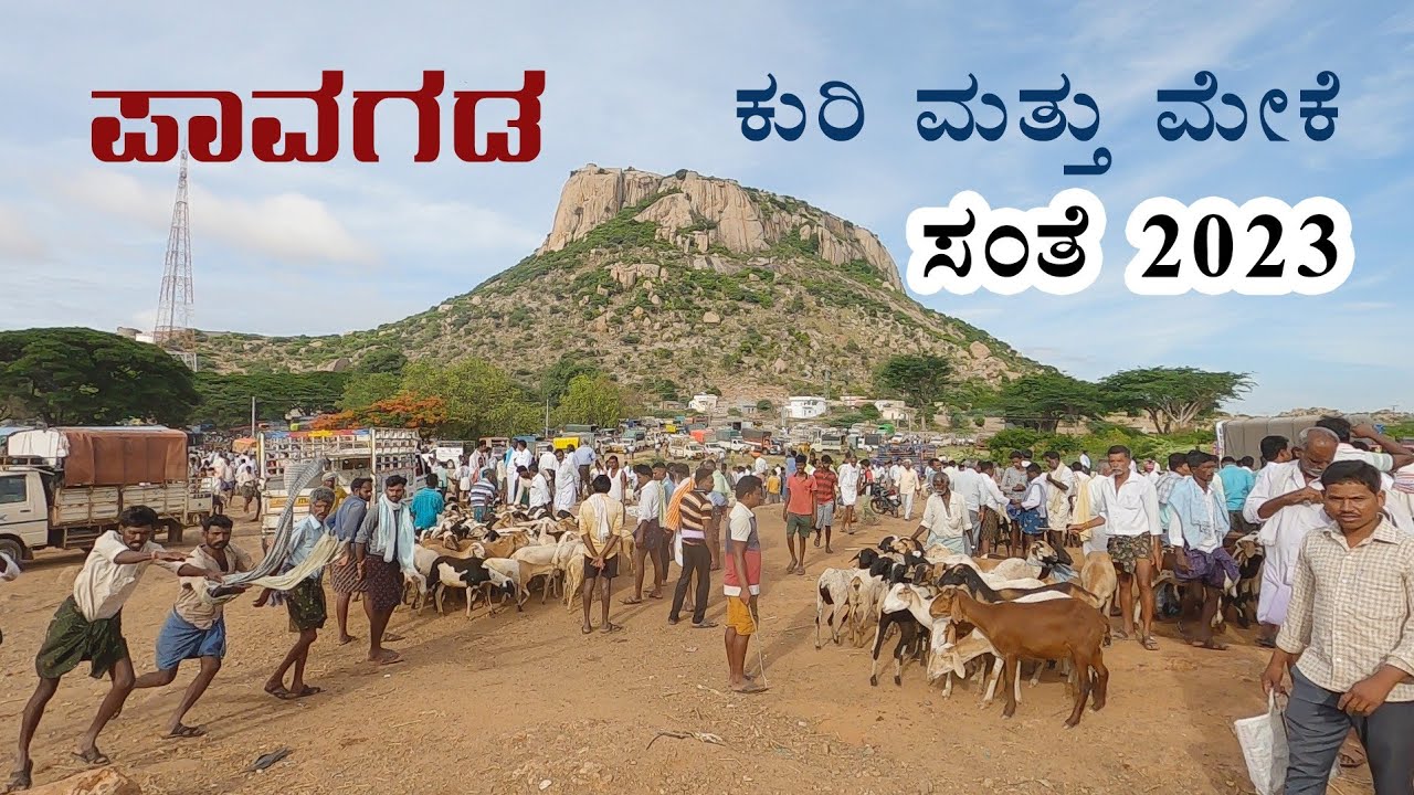 Pavagada sheep and goats market 2023