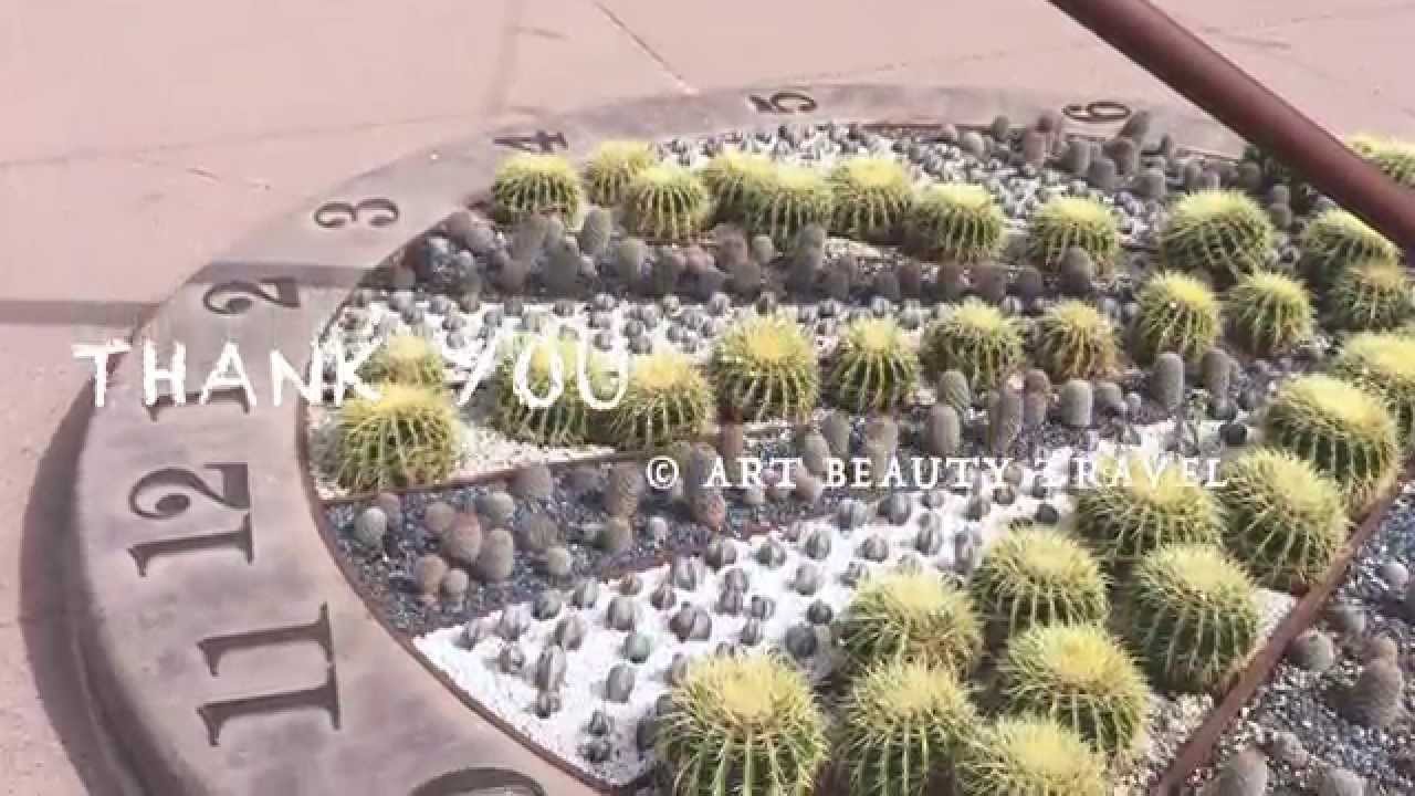 CactusBook, Desert Botanical Garden, Phoenix, Arizona CACTI, КАКТУСЫ