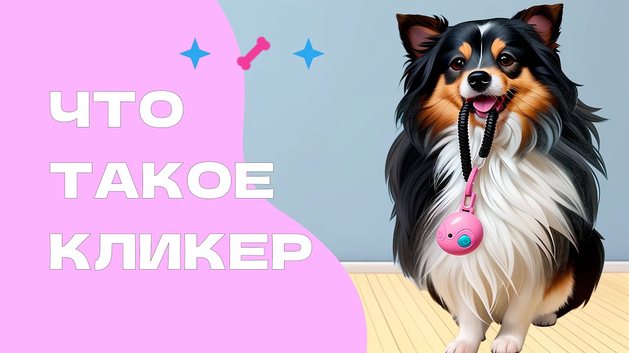 КЛИКЕР, что такое кликер, почему он не всем нужен, как пользоваться кликером