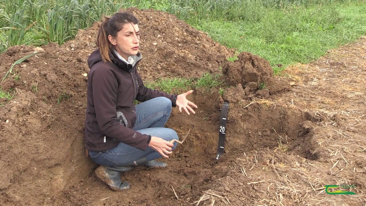 Soil Compaction - Double spade method