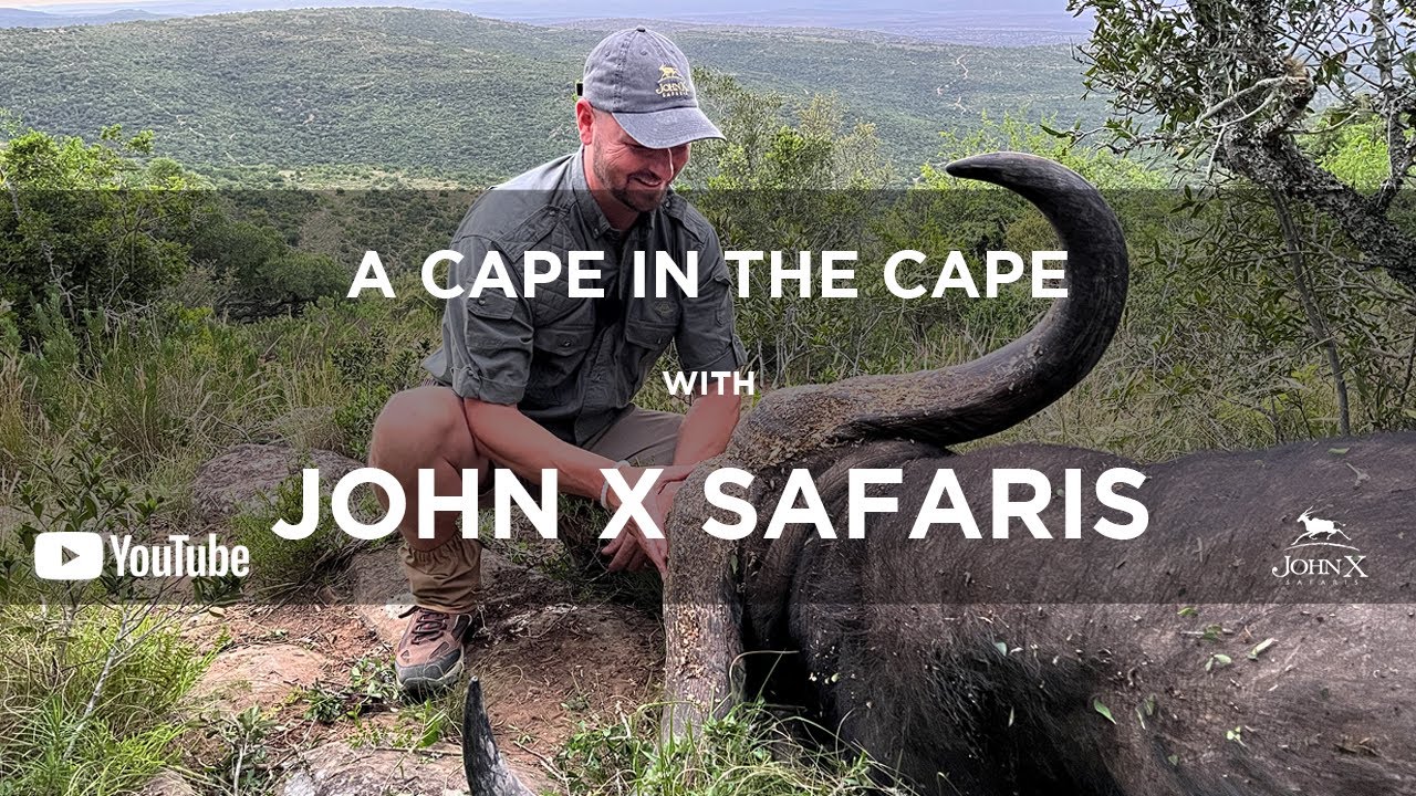A Cape in the Cape | Buffalo Hunting | John X Safaris