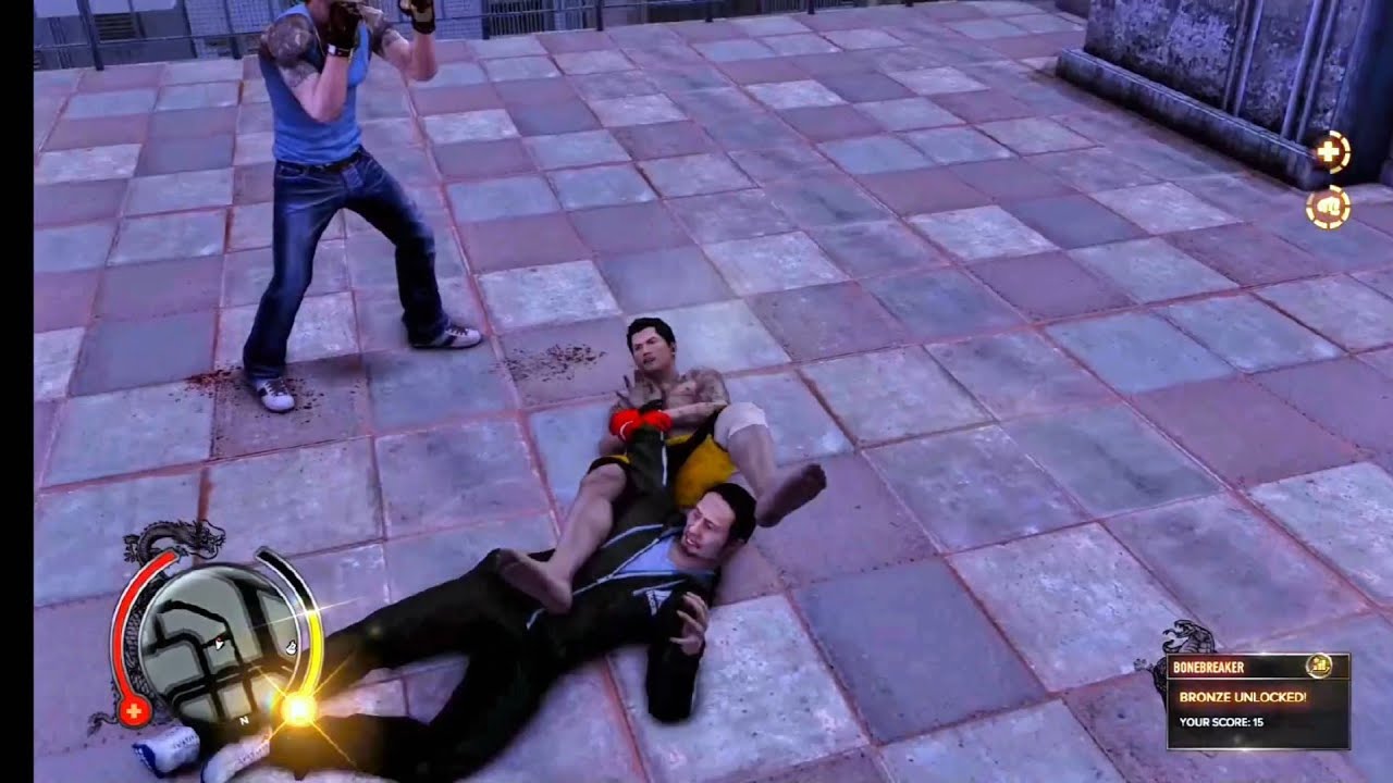 Sleeping dogs - Mixed Martial Arts