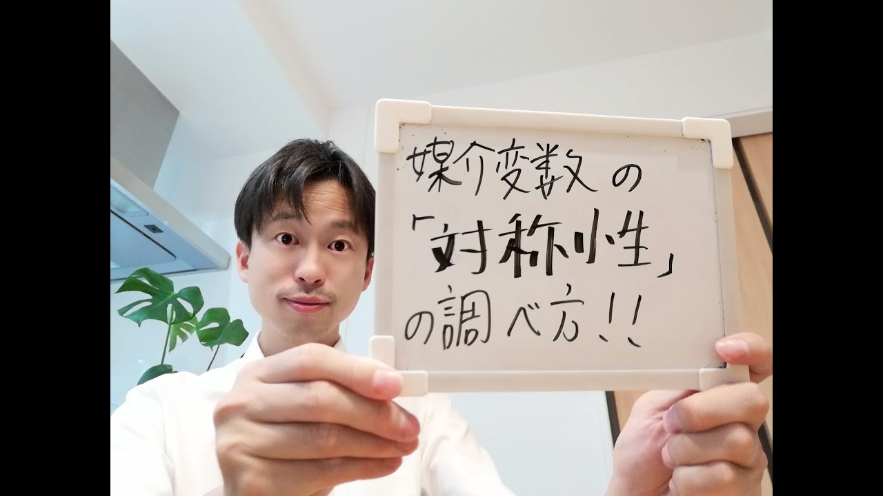 【媒介変数表示】の対称性の調べ方を（解説）～「君の瞳にいもけんぴさん」の質問への解答～