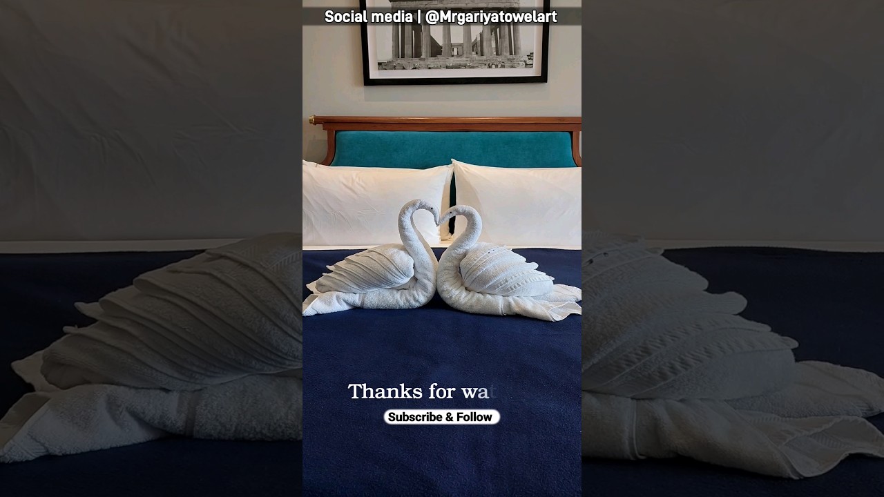 How do you make kissing swan out of towel art 🦆  @mrgariyatowelart | towel art