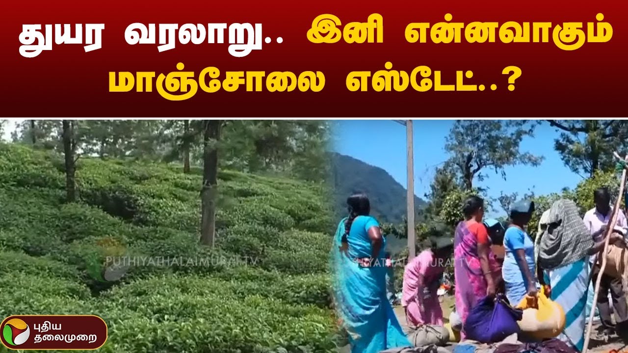 பீதியில் தொழிலாளர்கள்... இனி என்னவாகும் மாஞ்சோலை எஸ்டேட்..? | NELLAI | PTT