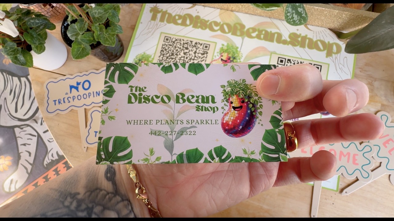 DISCO BEAN HOUSE/TRANCE SET (PLANT SHOP)