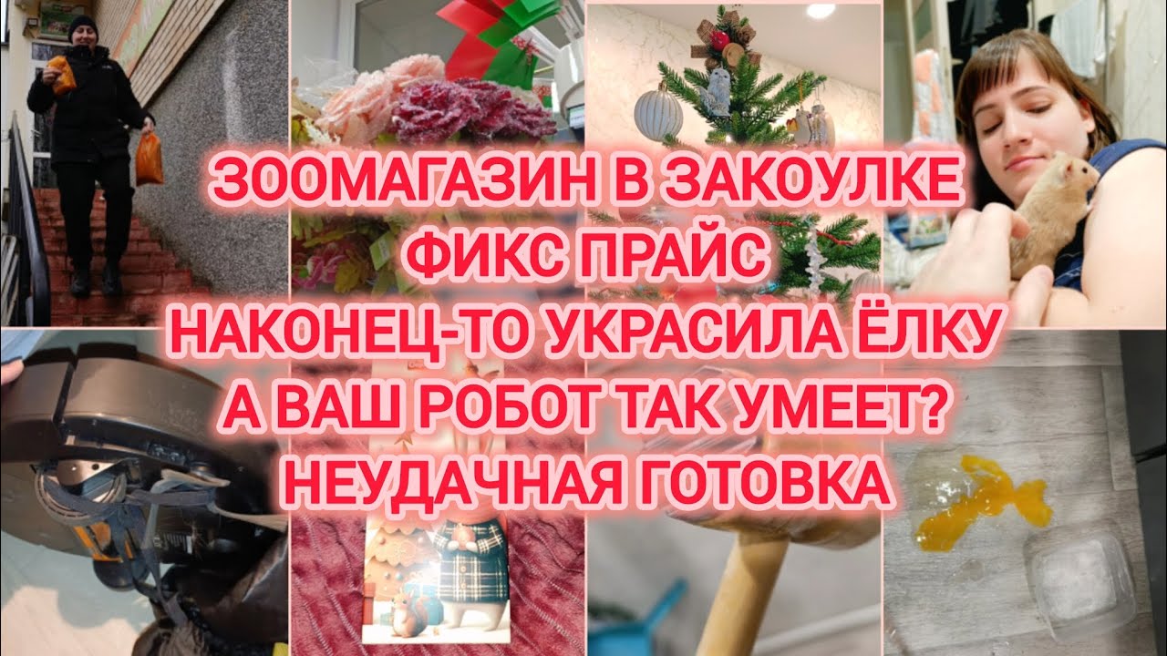 VLOG | ЗООМАГАЗИН В ЗАКОУЛКЕ | ФИКС ПРАЙС | НАКОНЕЦ-ТО УКРАСИЛА ЁЛКУ | А ВАШ РОБОТ ТАК УМЕЕТ?