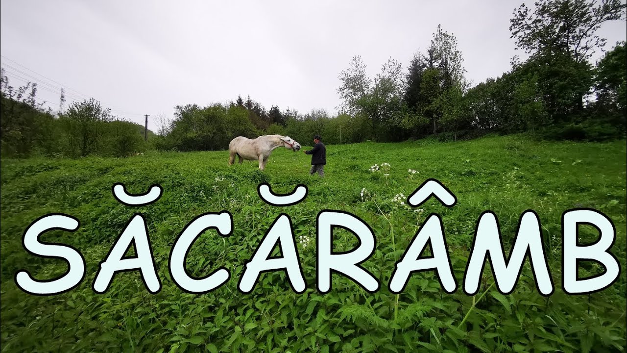 Satul Săcărâmb. El Dorado al Transilvaniei. Aici a fost târâmul aurului
