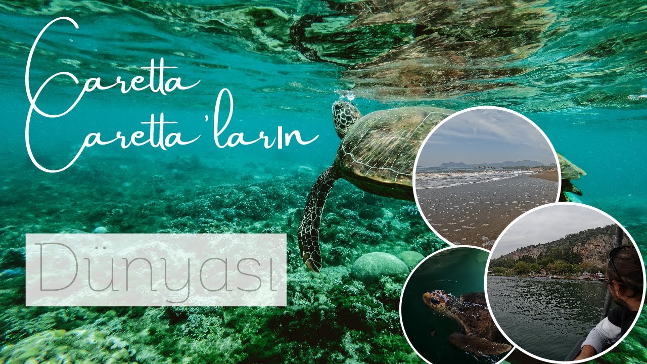 Пляж Каретта-Каретта-Черепахи-Дальян-Изтузу | Велосипедный тур по Турции #55 (4K)