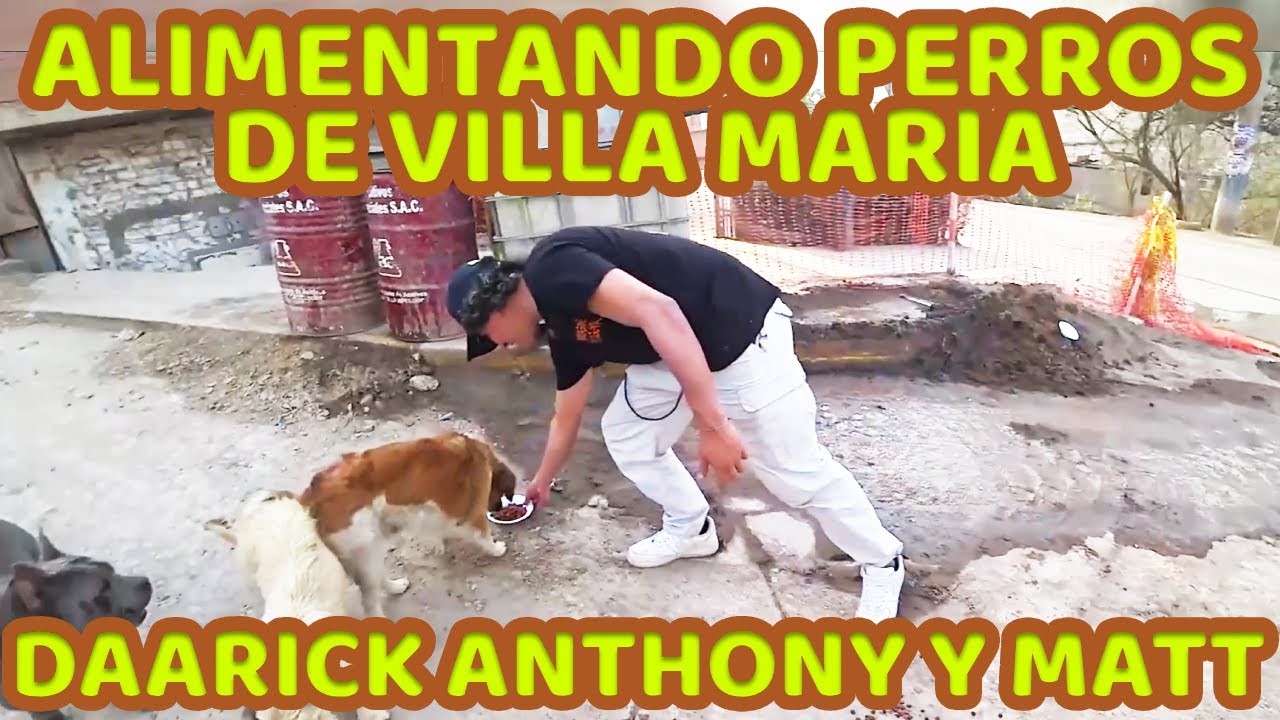 DAARICK ANTHONY Y MATT ALIMENTAN PERROS CALLEJEROS DE VILLA MARIA DEL TRIUNFO, COMPLETO