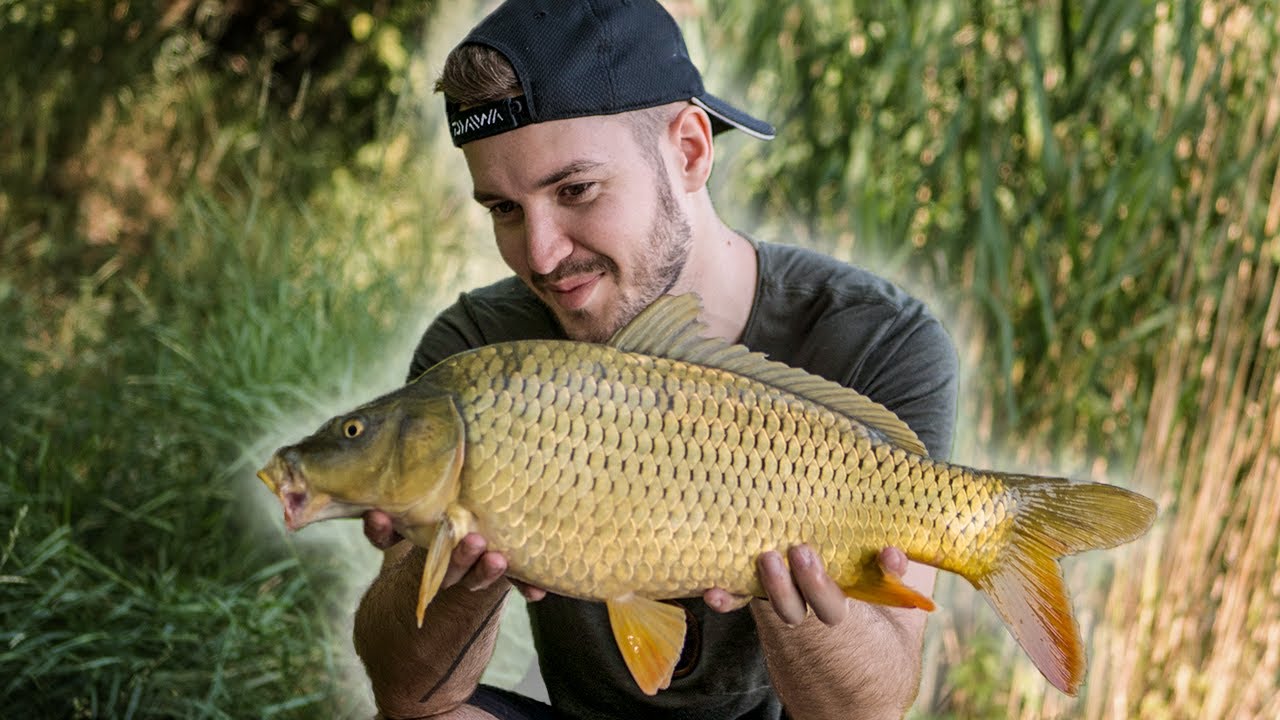 Pontyok a keszegek k&ouml;z&uuml;l | Szavanna Horg&aacute;szt&oacute; | B&V Fishing