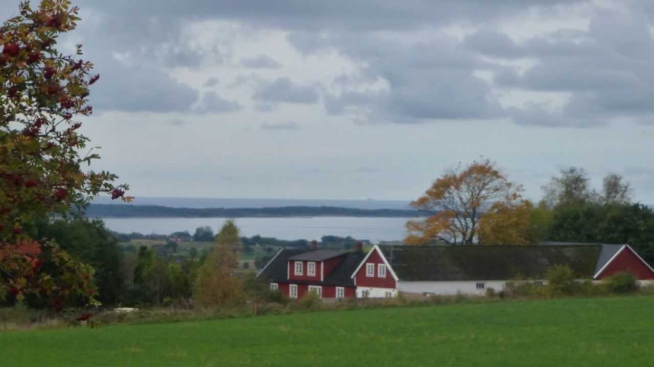 CAPE BJÄRE - del 1