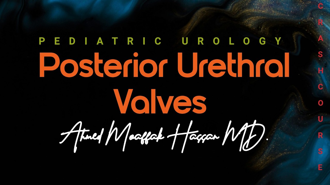 Pediatric Urology - Posterior Urethral Valve