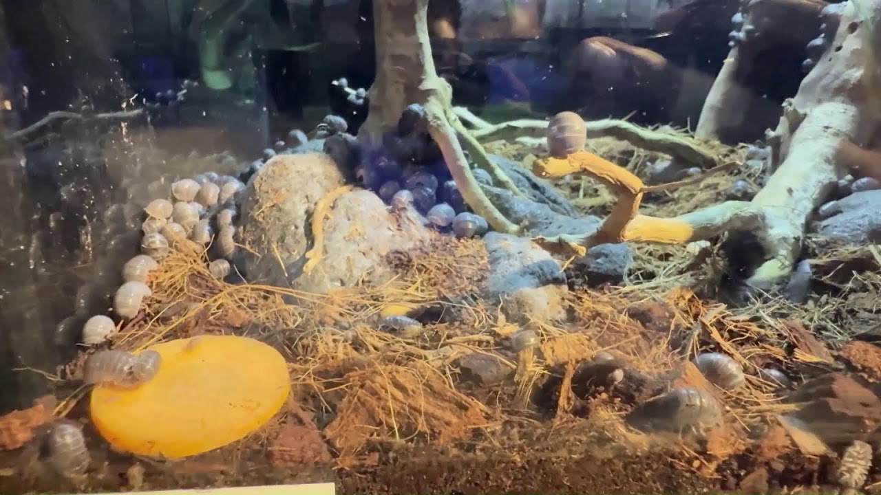 Aquaria klcc