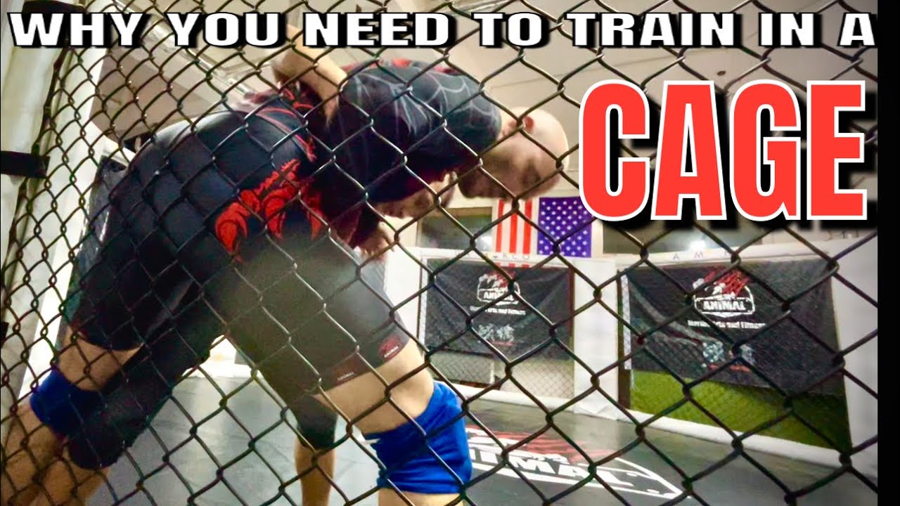 The case against training on an Open Mat for MMA