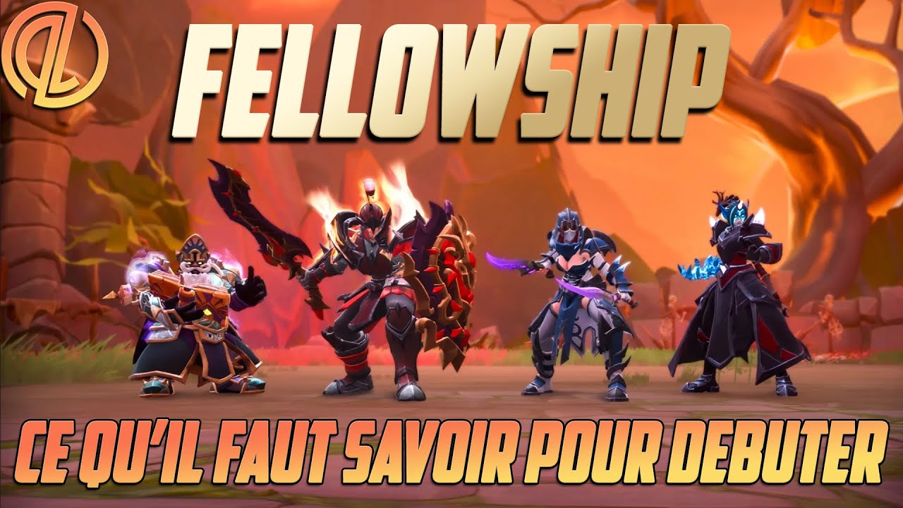 FELLOWSHIP : CE QU'IL FAUT SAVOIR POUR DEBUTER