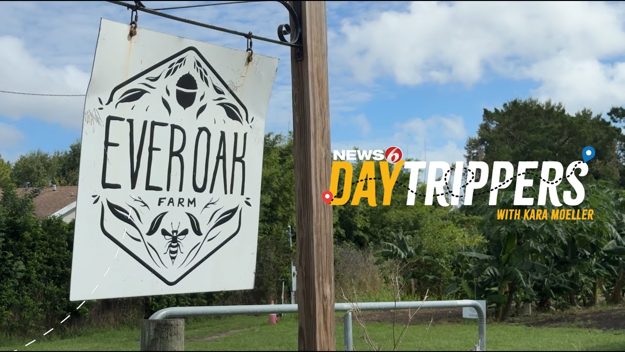 DAYTRIPPERS | Everoak Farms | Sustainable Farming in Orlando, FL