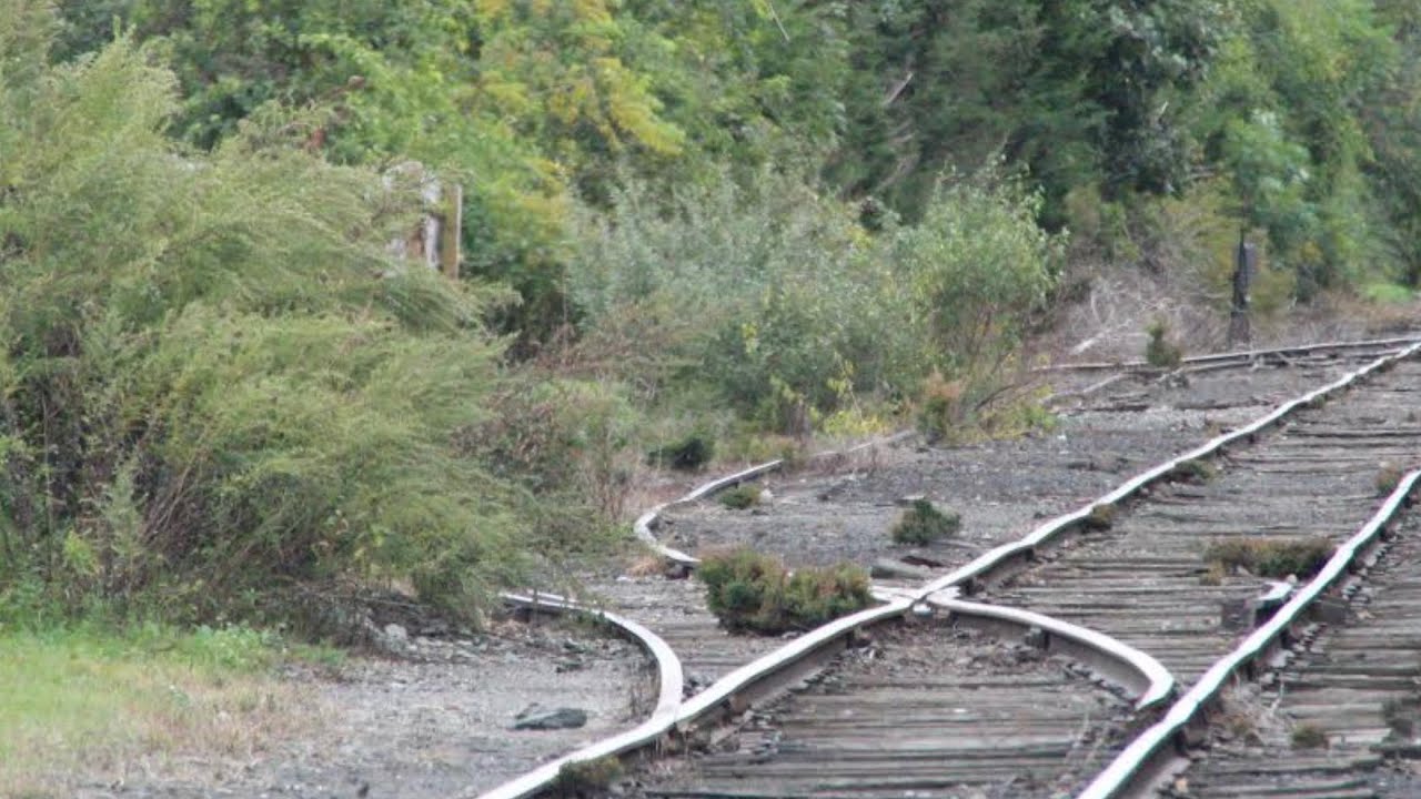Old overgrown railroad siding cleared by volunteers - Kaiser Siding