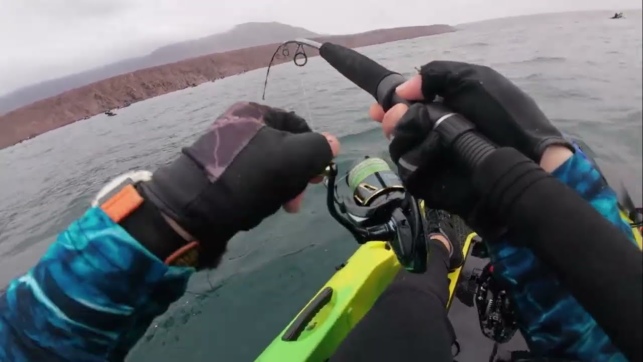 Pesca en Kayak | Kayak nuevo, especie nueva! Por fin encontramos los dorados, con ca&iacute;da incluida!